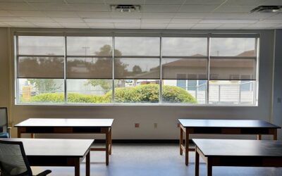 Enhance Your Business Space with Custom Window Shades